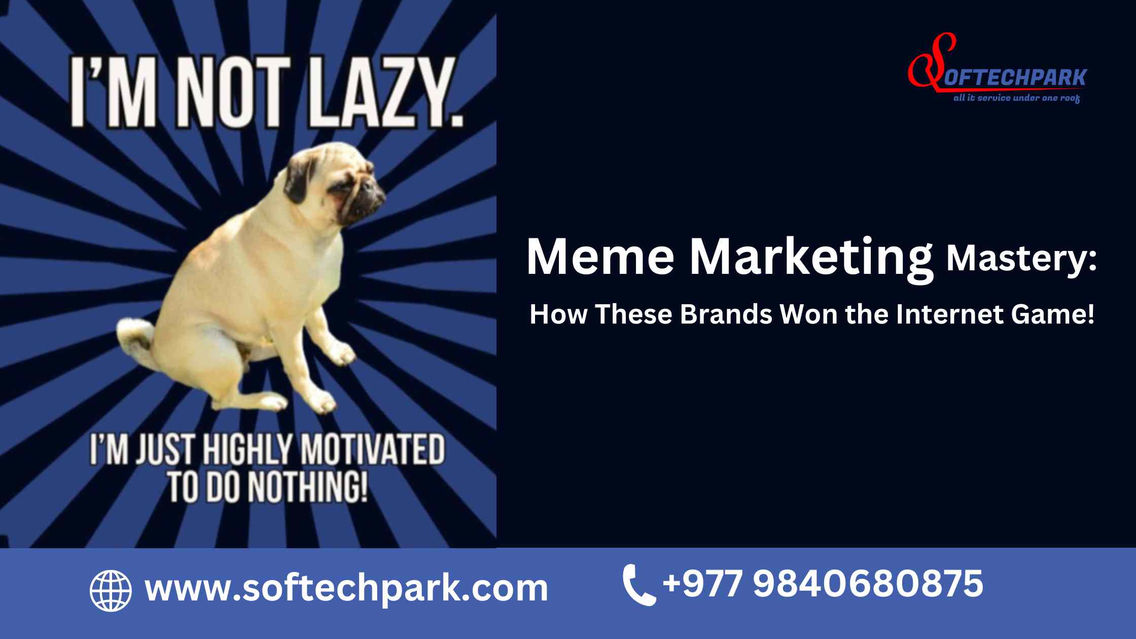 How Meme Marketing Took This Brand from 0 to Hero Overnight